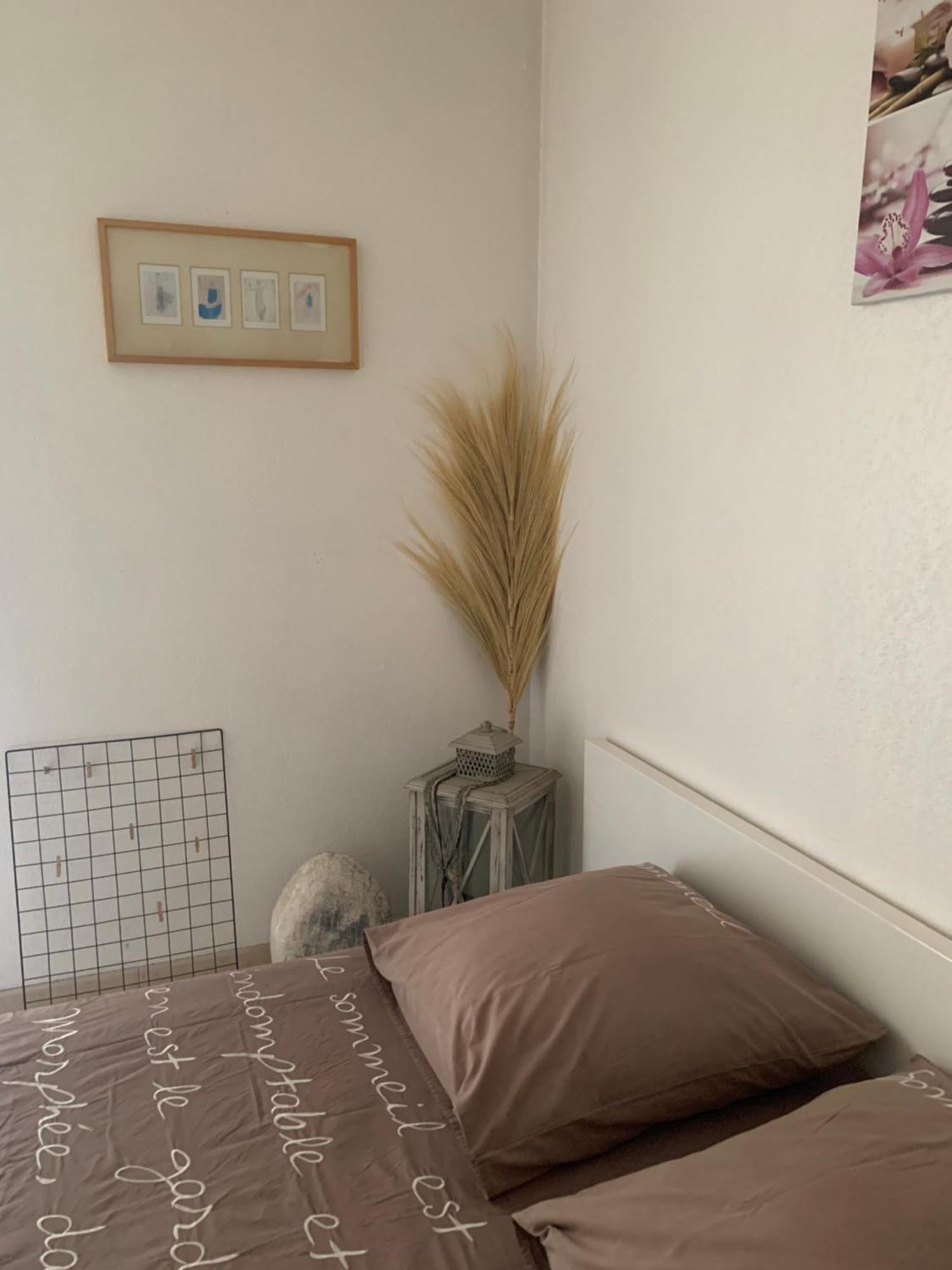 Votre Sejour Cosy A Frejus! 아파트 외부 사진